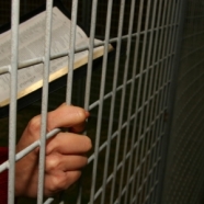 Activist Sentenced to 2.5 Years for Wire Cutters