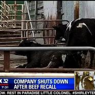 Feds raid slaughterhouse & three-time Animal Liberation Front target