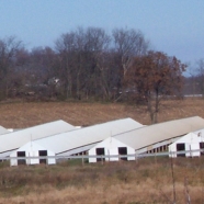 Leaked security alert #27: Mystery notetaker seen outside Oregon mink farm