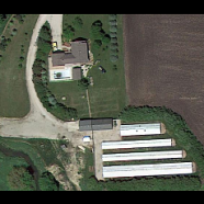 Security alert #28: FBI claims new evidence in Illinois mink farm raid